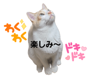 696149808