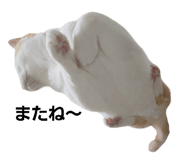 696149810