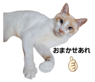696149815