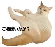 696149822