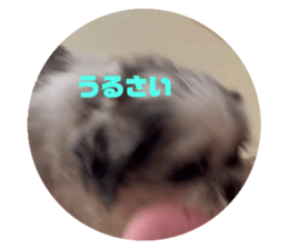 696150390