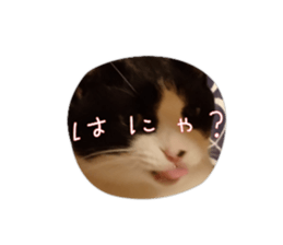 696153582