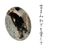 696161606