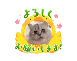 696241273