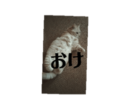 696250700