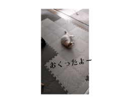 696250704