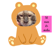 696254790