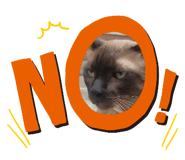 696265859