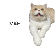 696294605