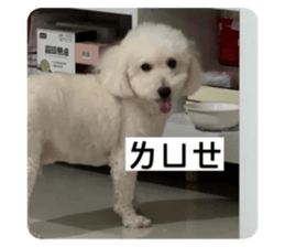 696308018