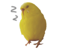 696320162