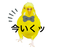 696320168