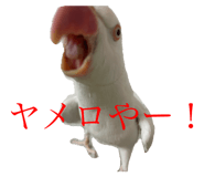 696325362