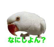 696325363