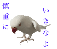 696325364