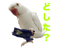 696325365