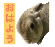 696325375