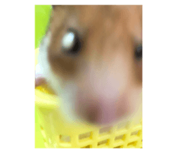 696340858