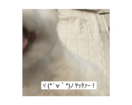 696443975