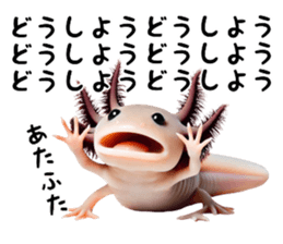 696444647