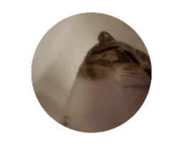 696444798