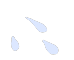 696456538