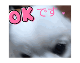696470745
