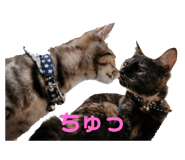 696478651
