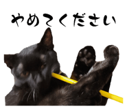 696478655