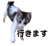 696478656