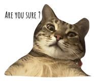 696479977