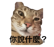 696479979
