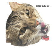 696479982