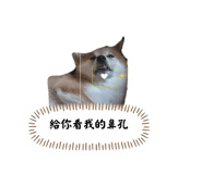 696485707