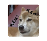 696485708