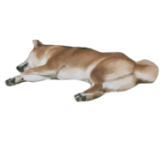 696485711