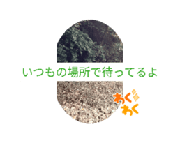 696494132