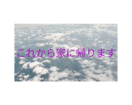 696494391