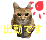 696504385