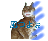 696504386