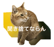 696504387