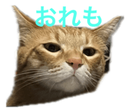 696504390