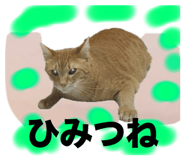 696504392