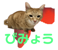696504393