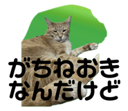 696504394