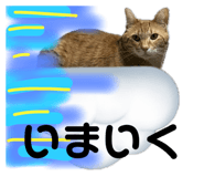696504396