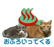 696504399