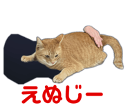 696504400