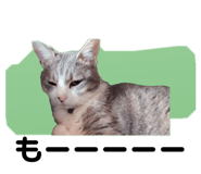696504401