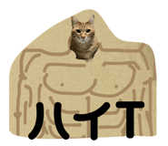 696504404